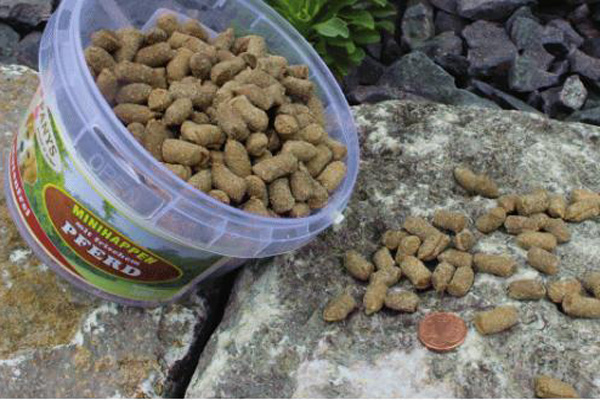 Minihappen mit frischem Pferd glutenfreie Rezeptur